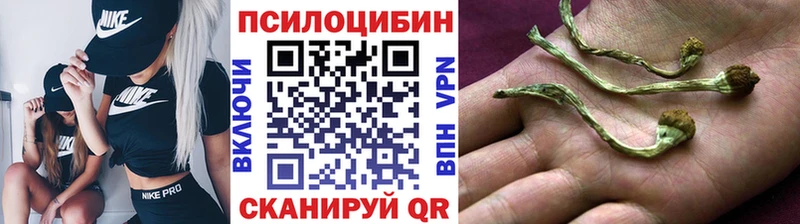 Галлюциногенные грибы мицелий  мега как зайти  Кремёнки  купить наркотики цена 